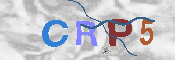 CAPTCHA Kép