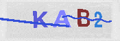 CAPTCHA Kép