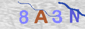 CAPTCHA Kép
