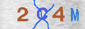 CAPTCHA Kép